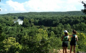 castlewood trees