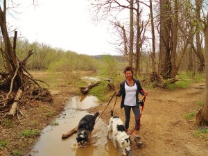 maxine walking dogs in creek