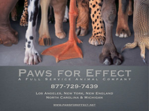 Paws For Effect