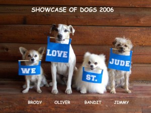 Showcase of Dogs 2006