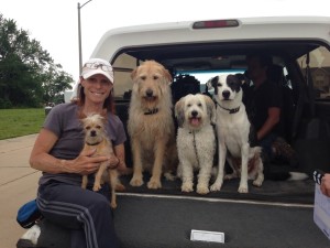 Debbie, founder of Paws for Effect, and some of her movie dogs.