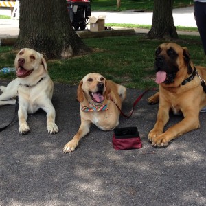 Max (left) makes friends with Max and Ben on movie set.